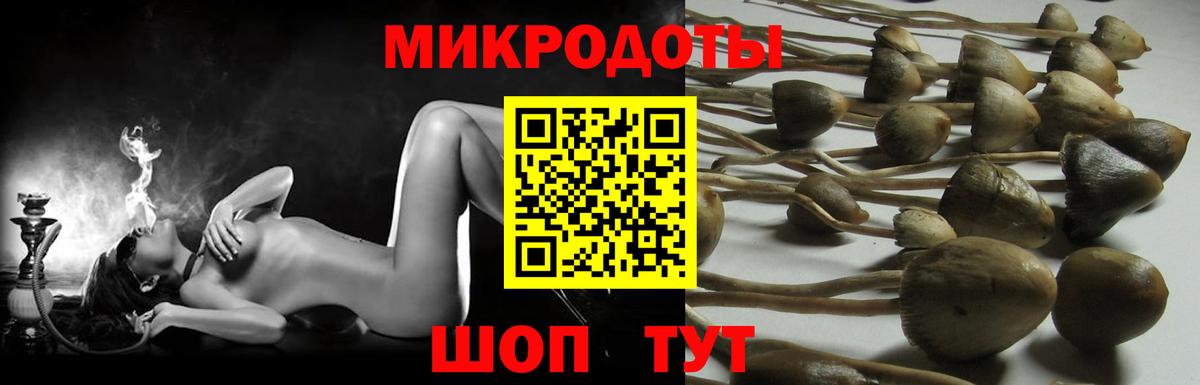 Псилоцибиновые грибы ЛСД  Псилоцибиновые грибы MAGIC MUSHROOMS  Вход с VPN  Анжеро-Судженск 